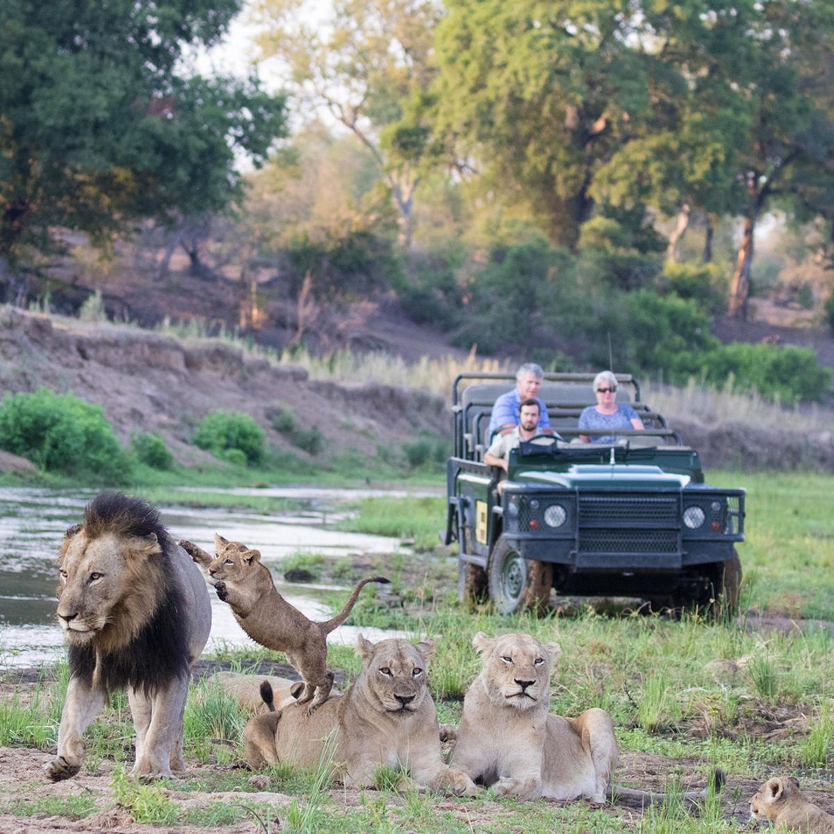 Ultra-Lux South Africa 10-Day Private Safari with Rovos Rail 2027, Iconic Mount Nelson Luxury & All-Inclusive MalaMala Camp by  2