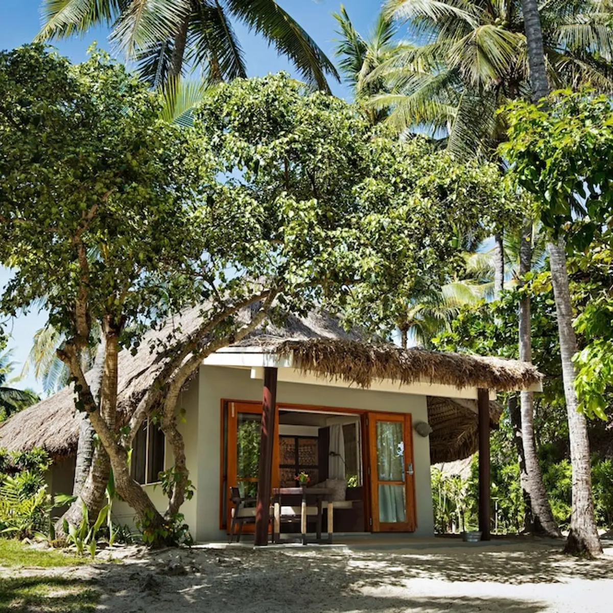 Castaway Island, Fiji, Castaway Island, Fiji 8