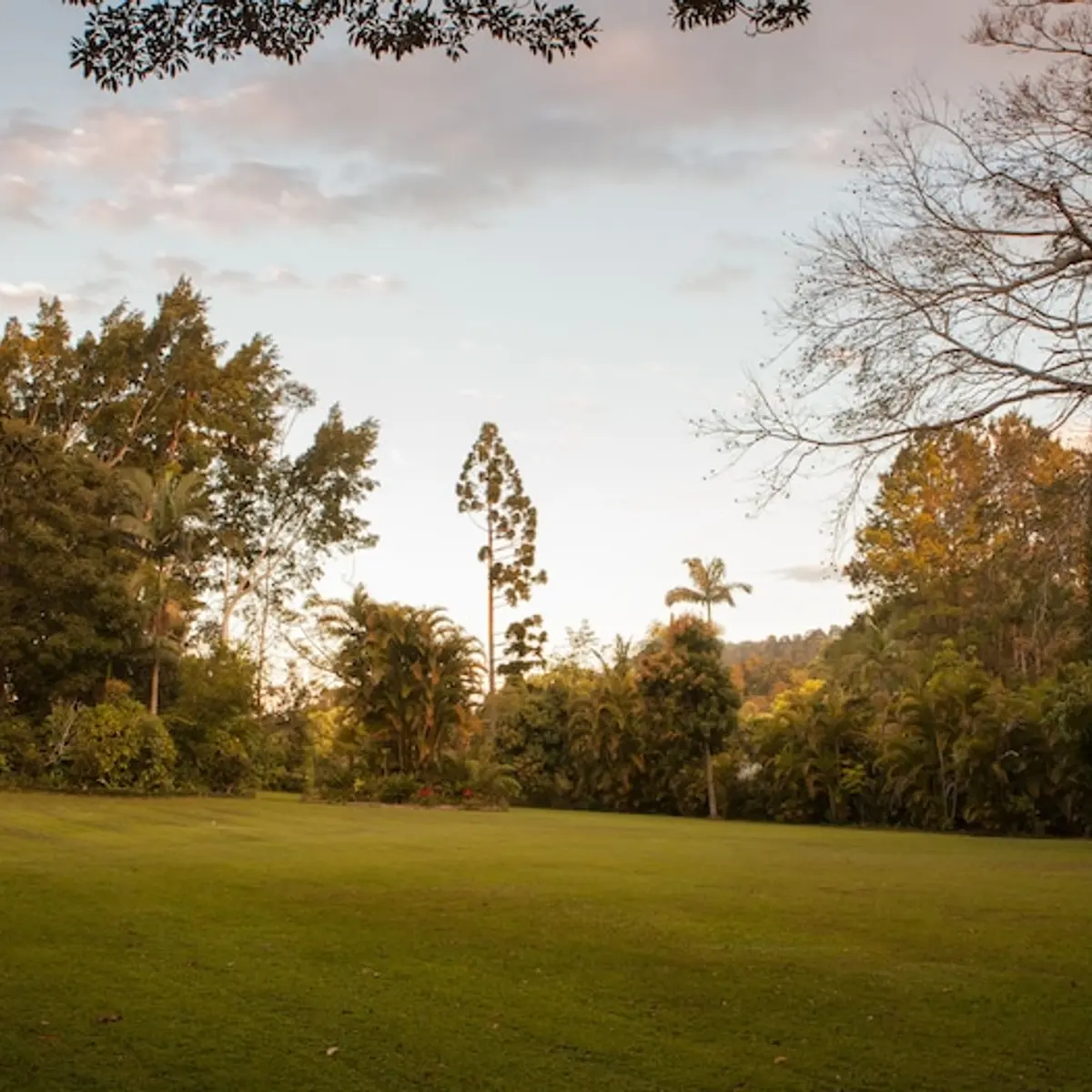 Sanctuary in The Pocket, The Pocket, Australia 5