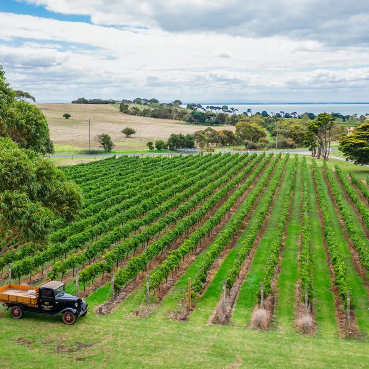 Portarlington Grand Hotel, Bellarine Peninsula, Victoria 6
