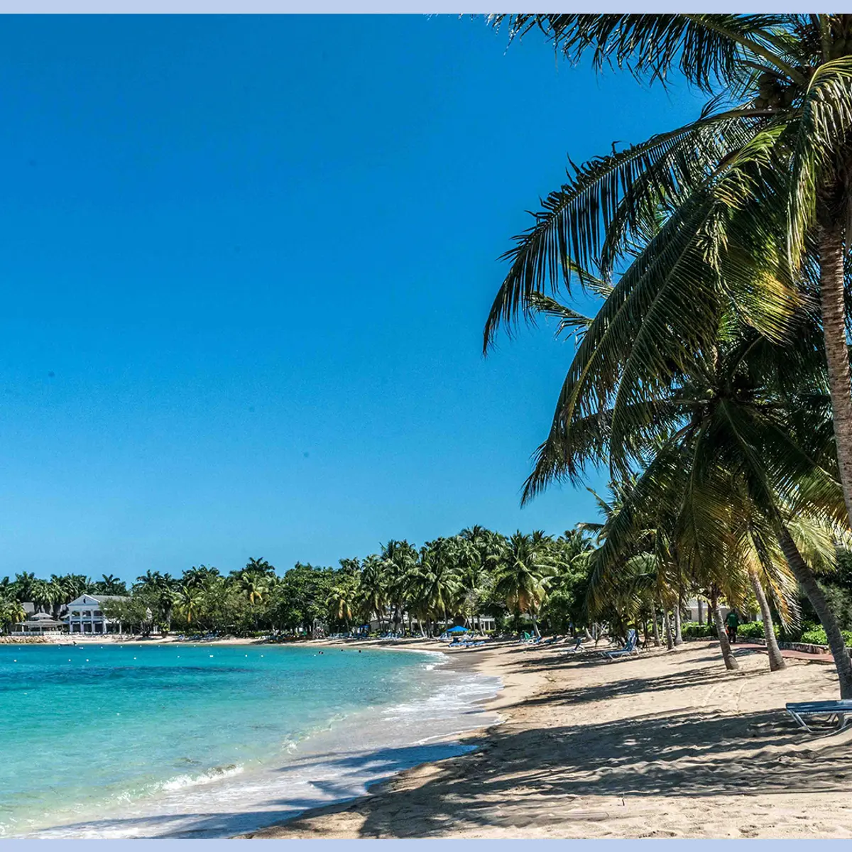Half Moon, Montego Bay, Jamaica 5