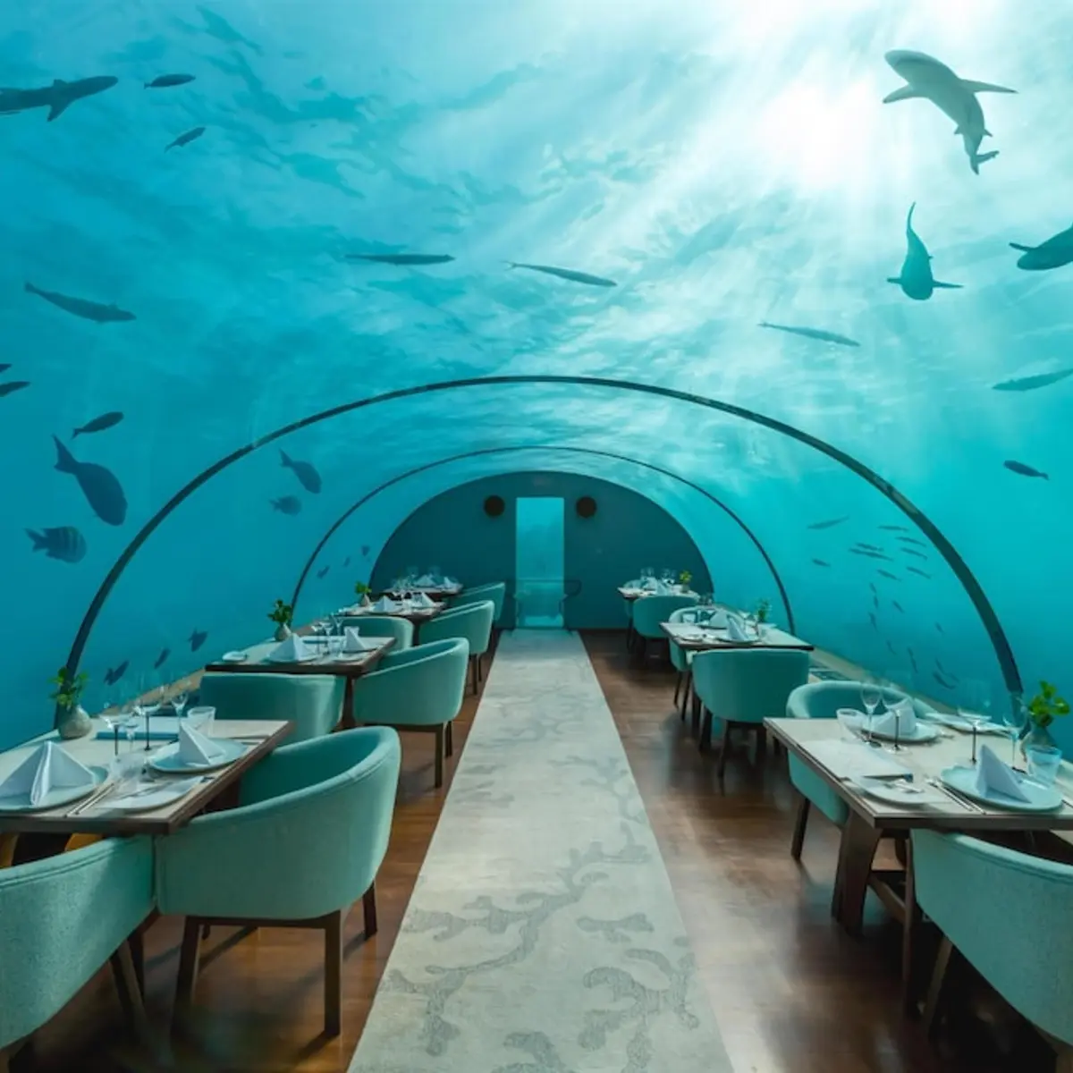 Conrad Maldives Rangali Island, Rangalifinolhu, Maldives 1
