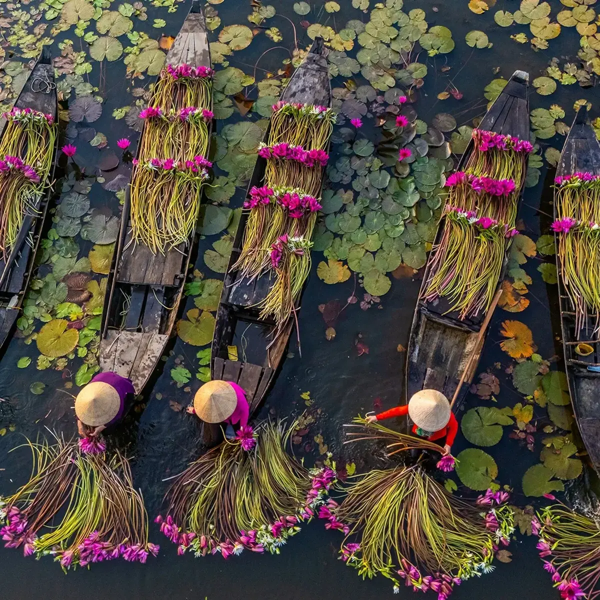 Deluxe 13-Day Vietnam & Cambodia Highlights Tour with Ha Long Bay, Hoi An & Mekong River Cruise by  1