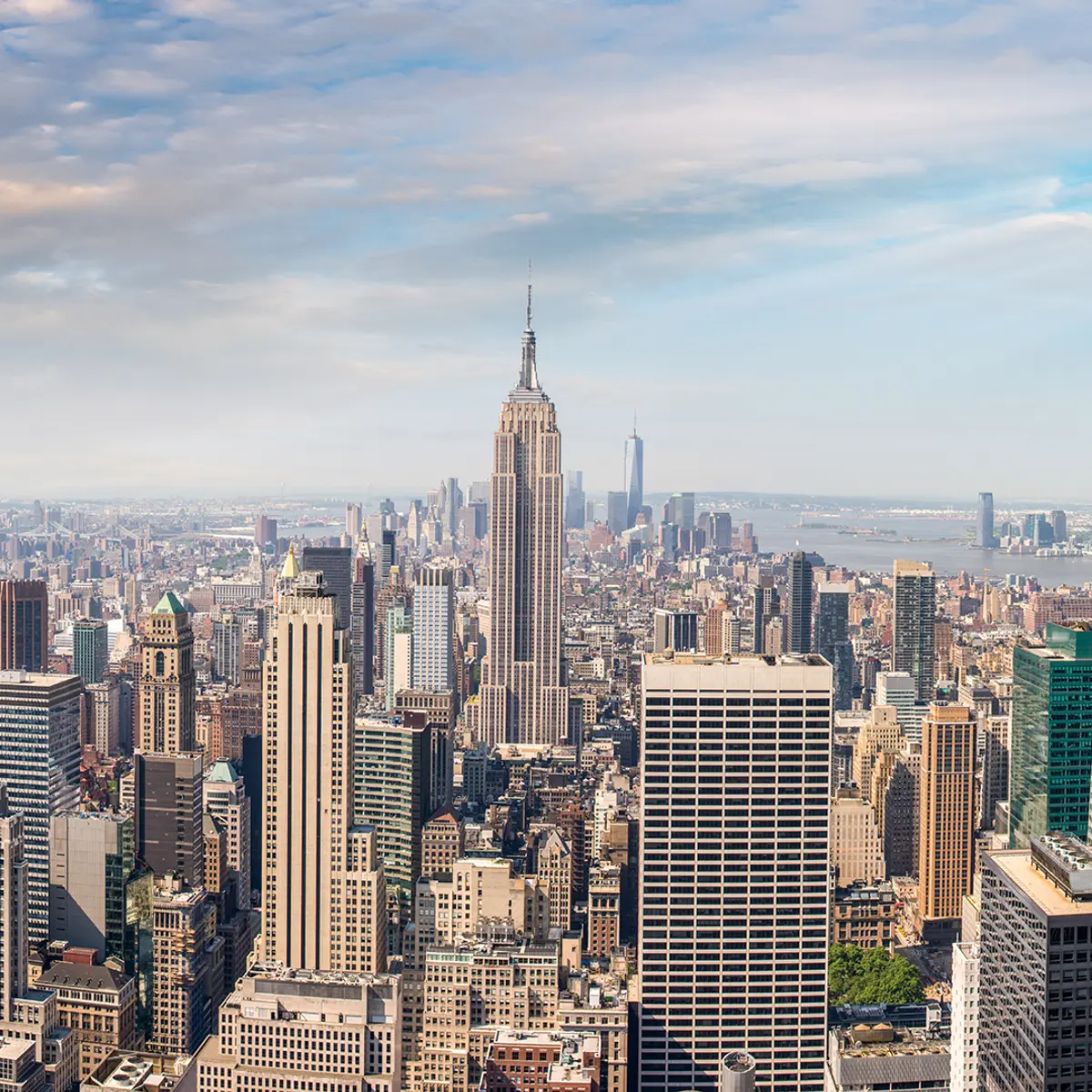 Staypineapple, An Artful Hotel, Midtown New York, New York, USA 1