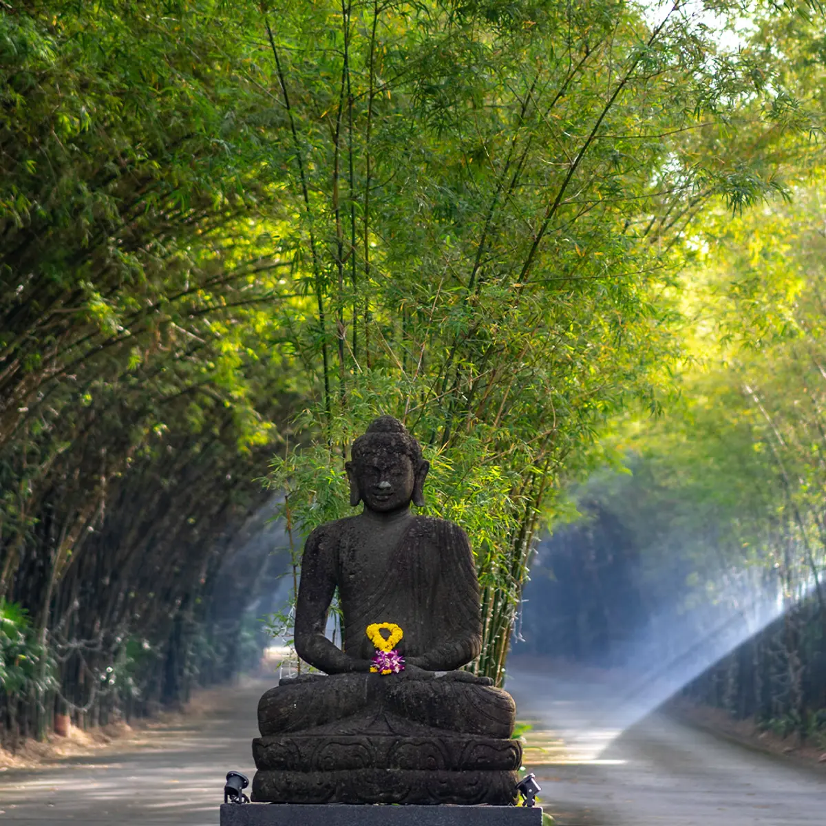 The Pavilions Phuket, Phuket, Thailand 6