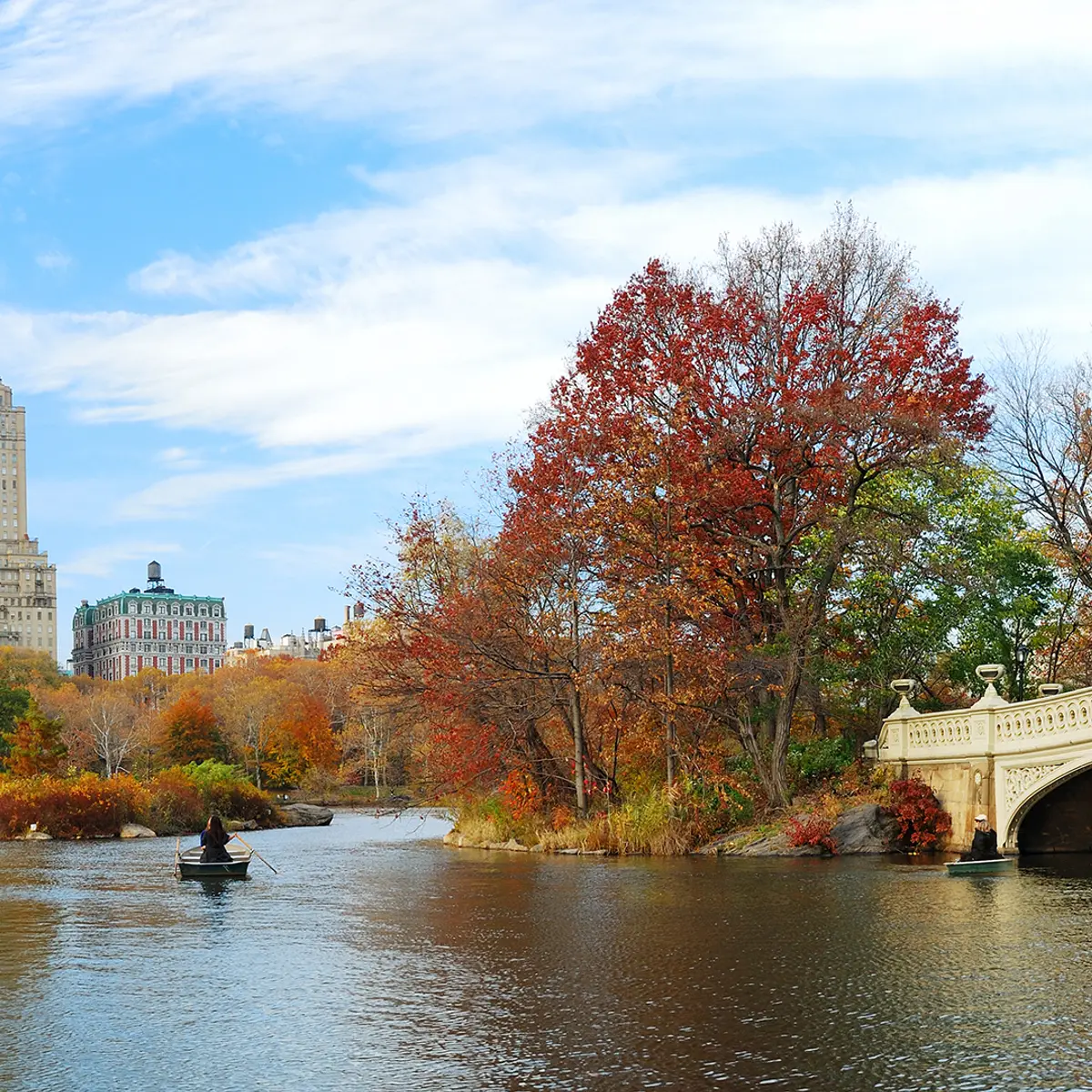 5th & 55th Residence Club, New York, United States 4