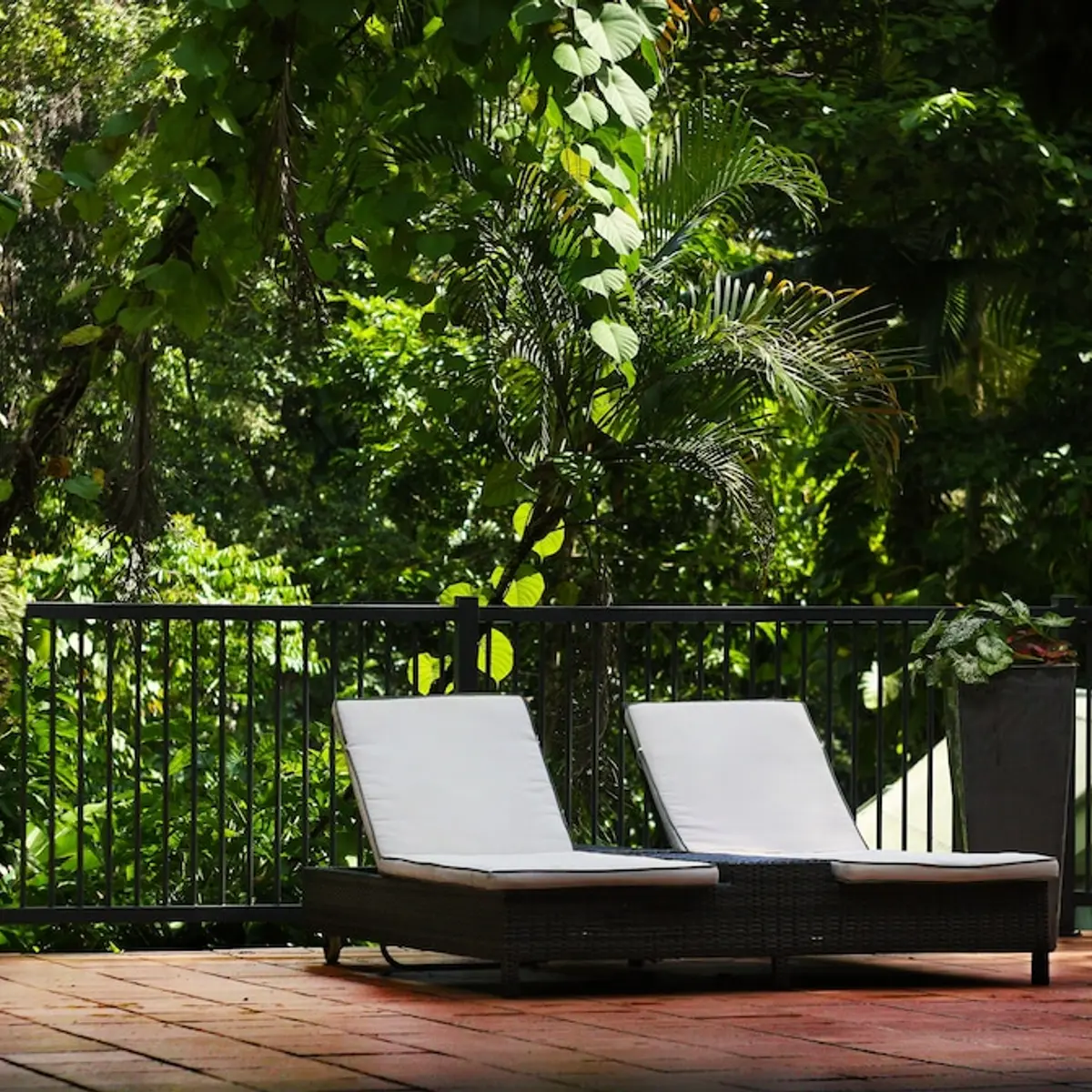 Daintree Ecolodge, Lower Daintree, Australia 2