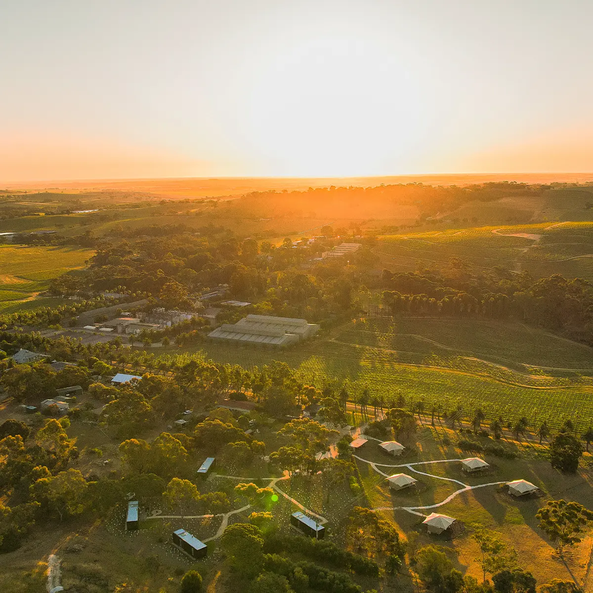 CABN X Seppeltsfield Barossa, Seppeltsfield, South Australia 1