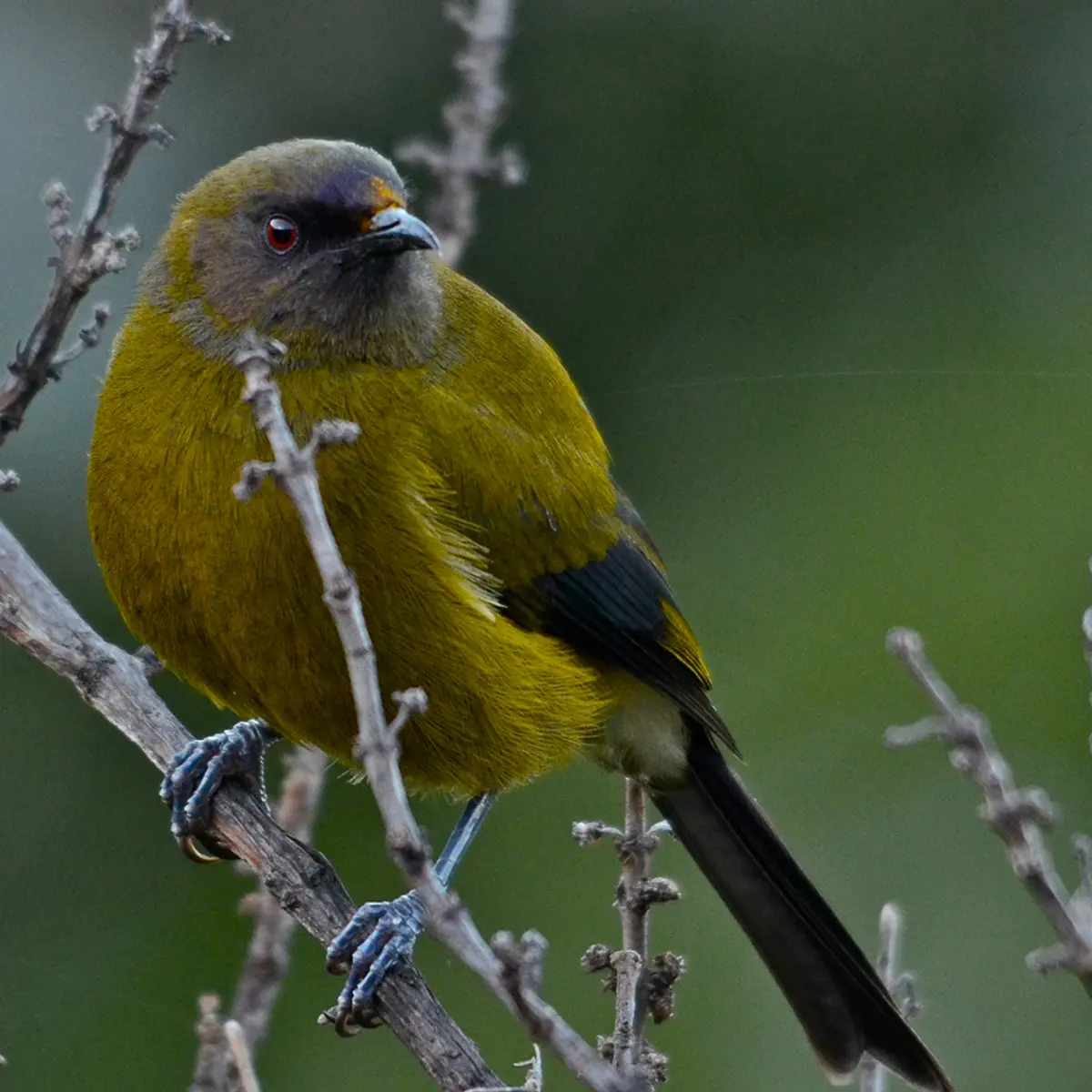 Bay of Many Coves Resort, Marlborough Sounds, New Zealand 6