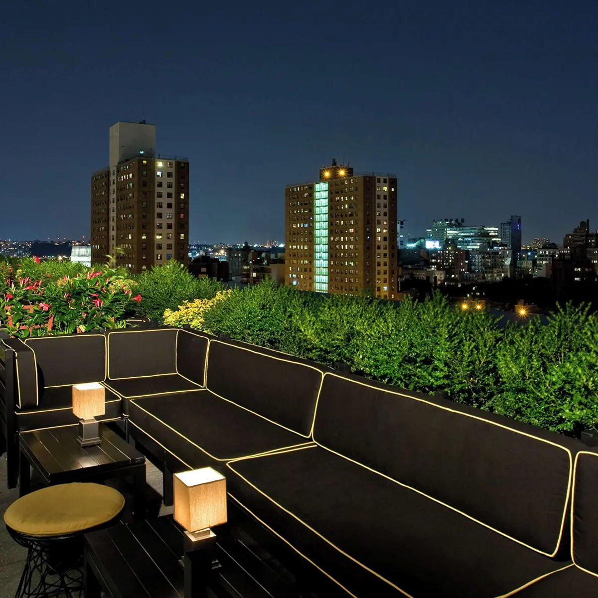 Dream Downtown, by Hyatt, New York, United States 4