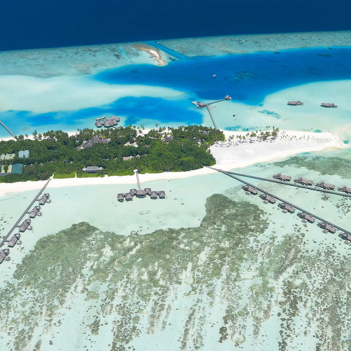 Gili Lankanfushi , North Malé Atoll, Maldives 4