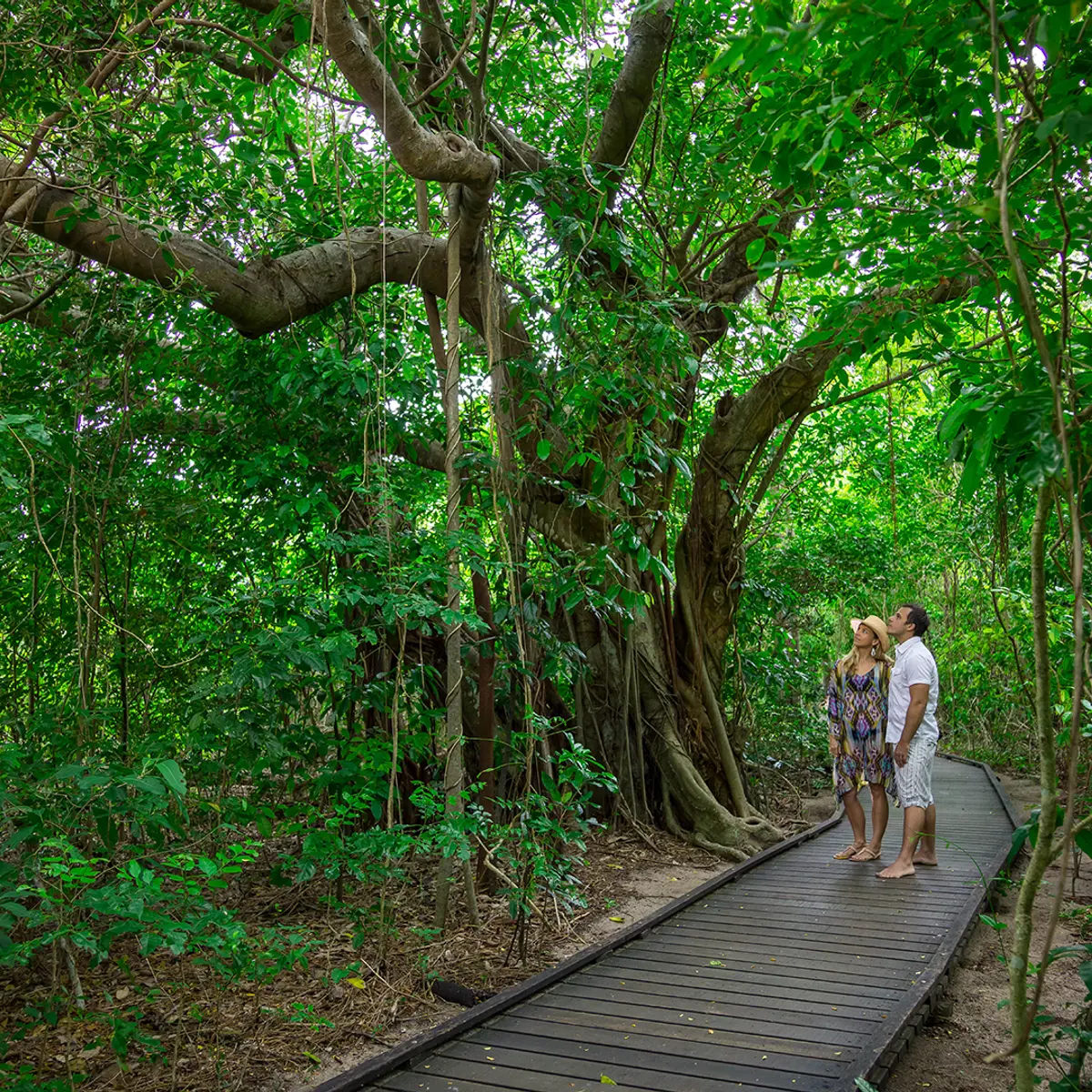 Green Island Resort, Green Island, Queensland 6