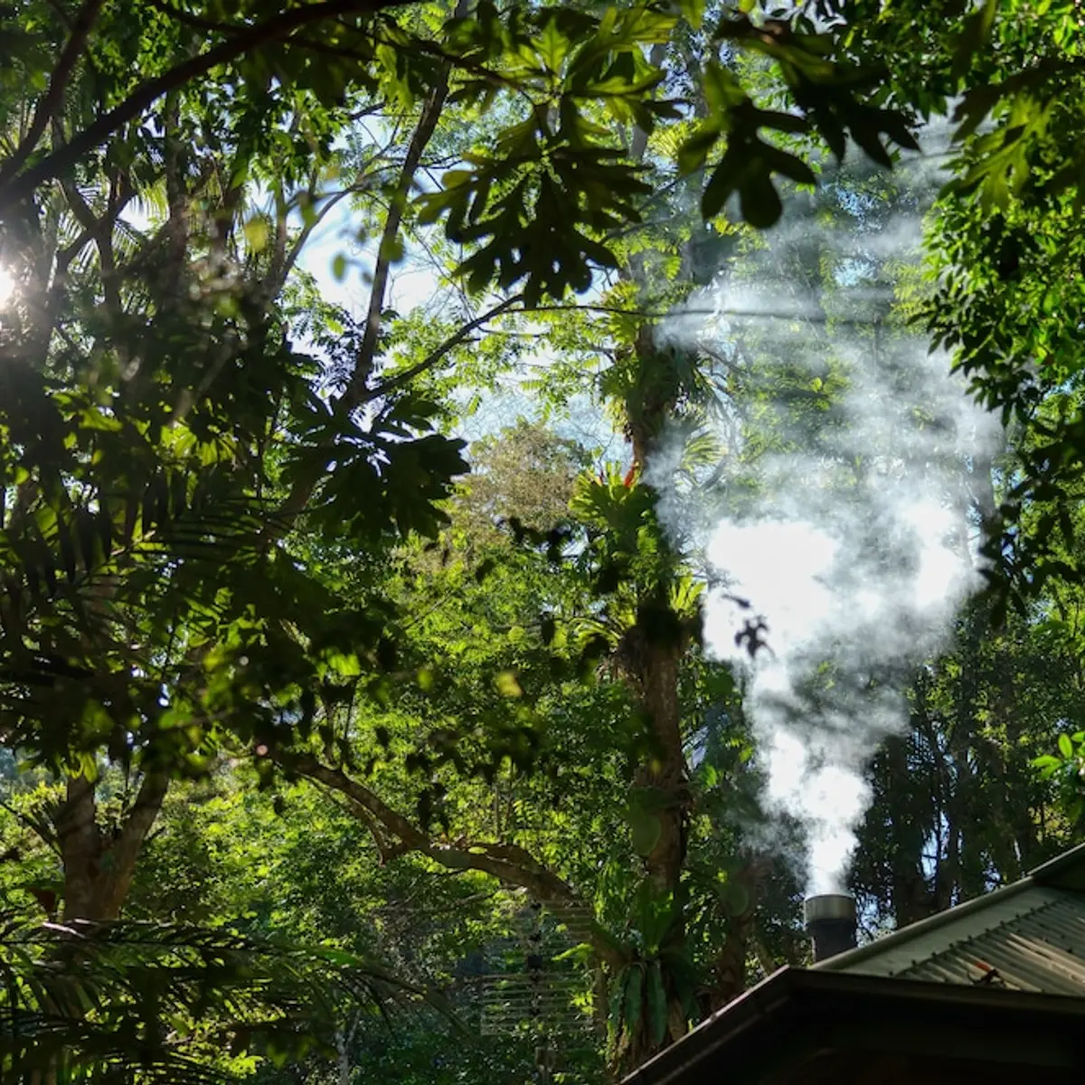 Narrows Escape Rainforest Retreat, North Maleny, Australia 4