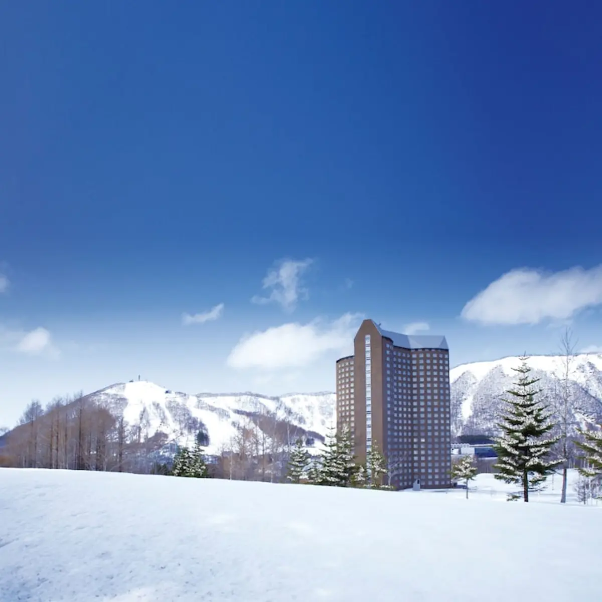 The Westin Rusutsu Resort, Rusutsu, Japan 5