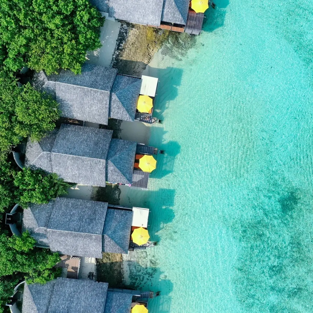 Dhigufaru Island Resort, Baa Atoll, Maldives 8