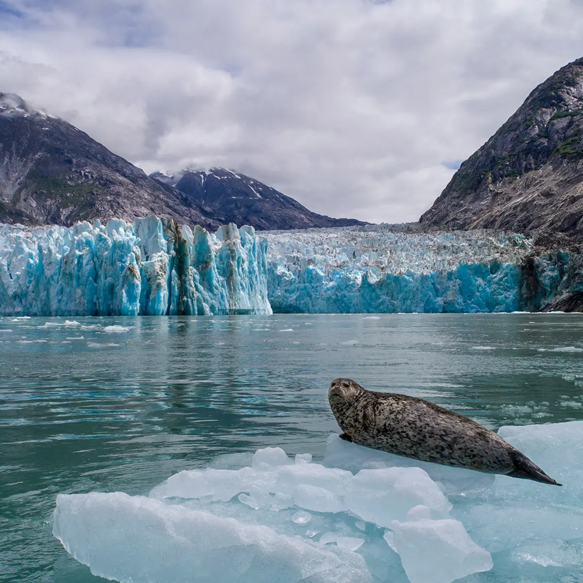 USA & Canada, Trusted Partner Cruises – USA & Canada, 6