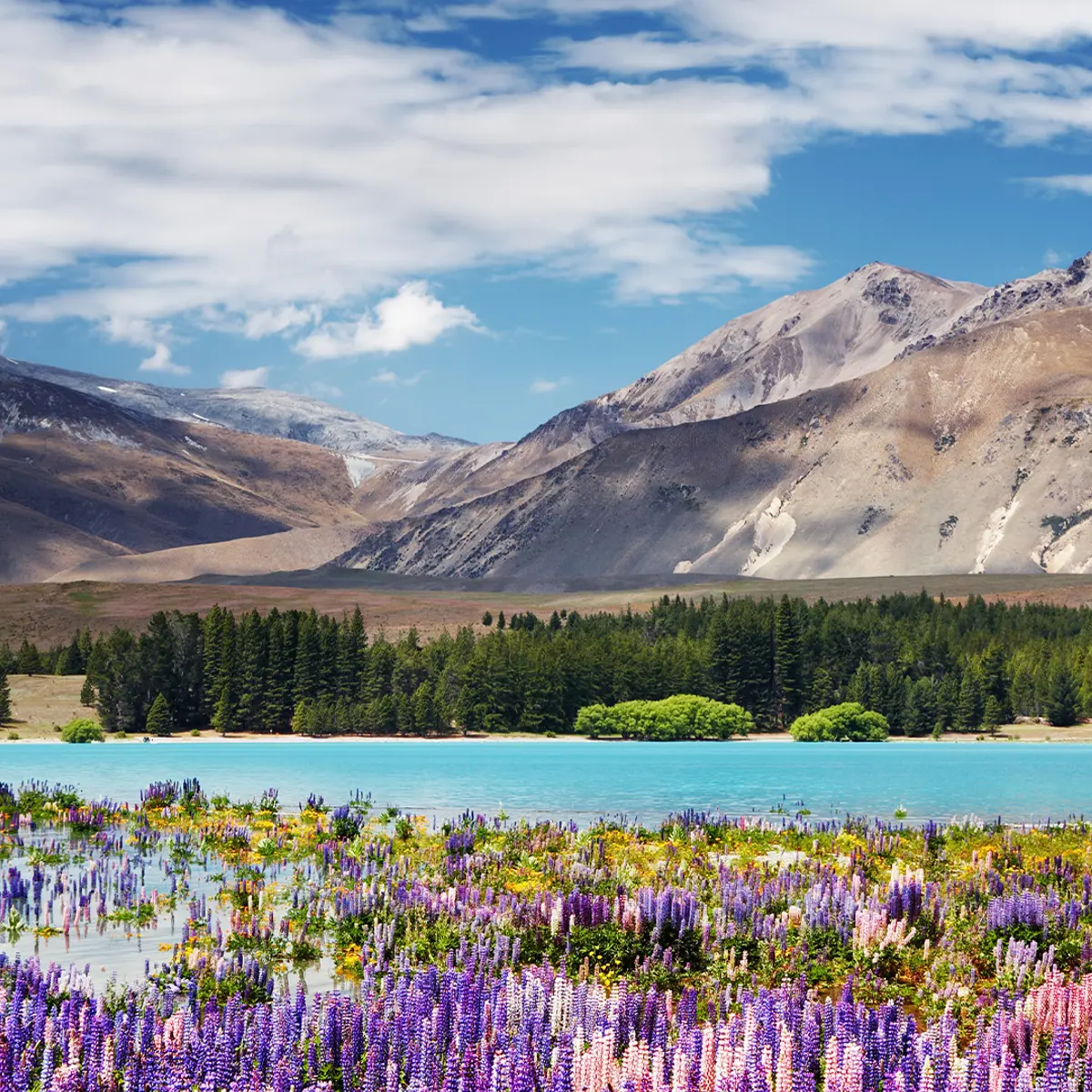 Peppers Bluewater Resort Lake Tekapo, Lake Tekapo, New Zealand 4