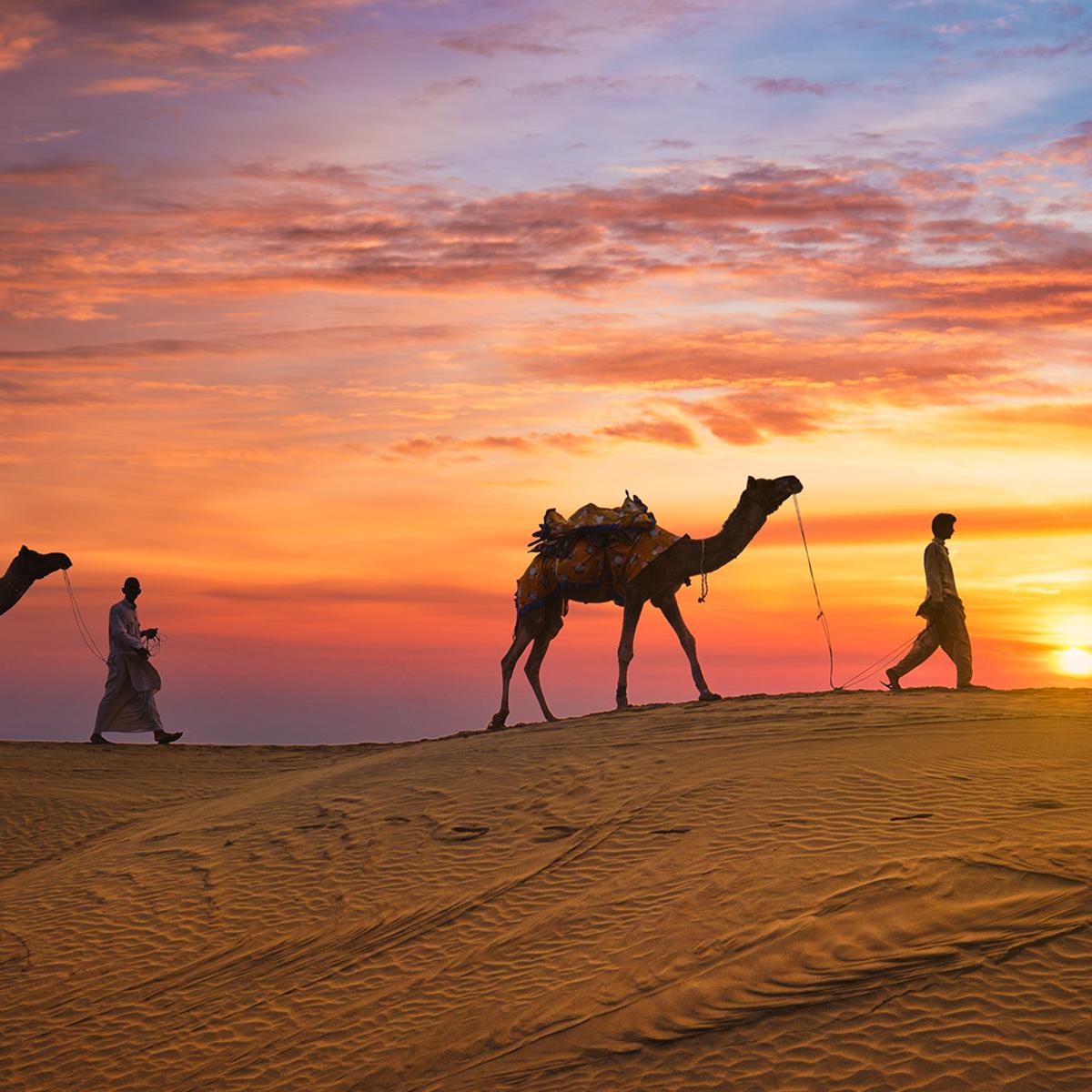 Circuit premium de 15 jours au Rajasthan royal avec le Taj Mahal, le fort d’Amber et un safari dans le désert de Jaisalmer par  6