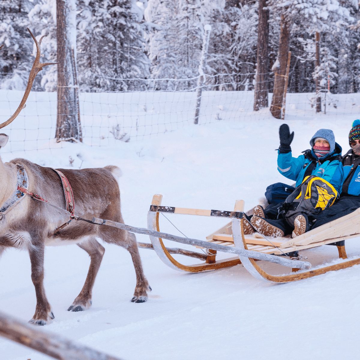 Deluxe 14-tägiges Winterabenteuer zu den Nordlichtern in Finnland und Norwegen 2028 mit einer Küsten- und Fjordkreuzfahrt von Havila Voyages von  5