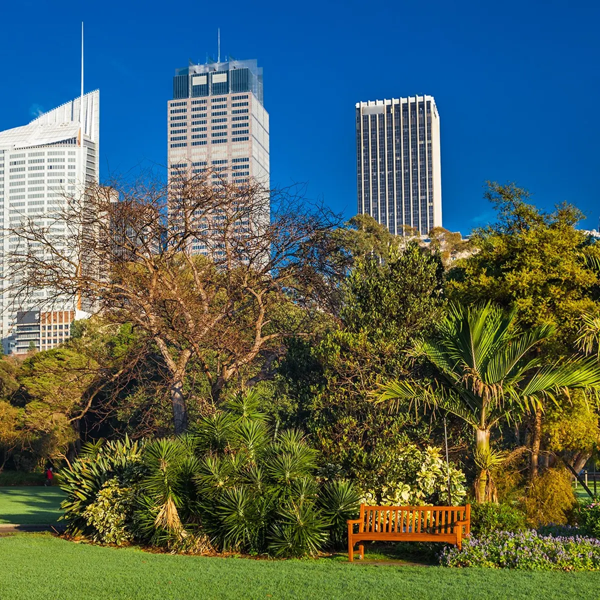 Paradox Sydney, Sydney, New South Wales 8