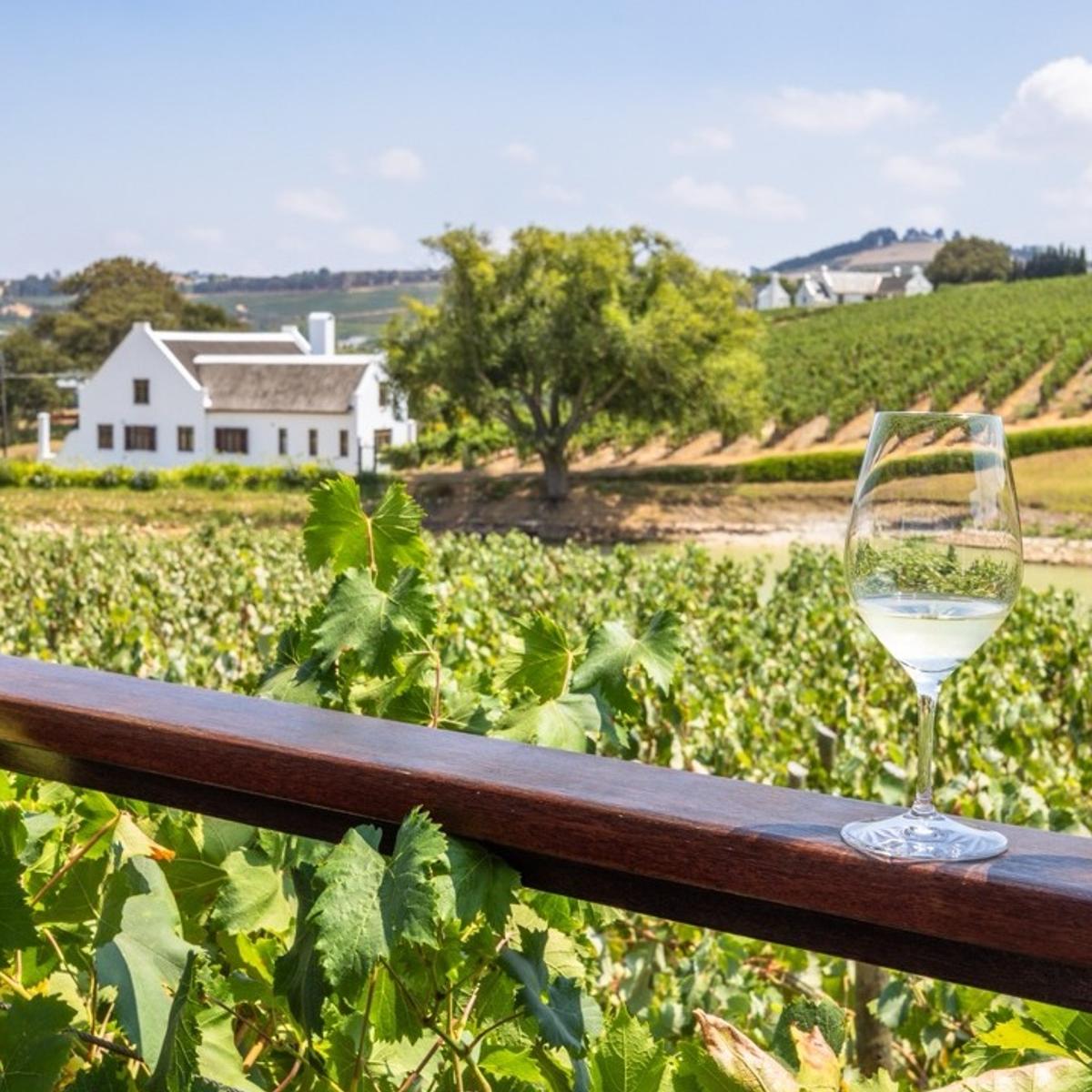 Signature Series: 12-Day Exclusive South Africa Food Trail + Eastern Cape Safari with Warren Mendes & Miguel Maestre by Luxury Escapes Tours 3