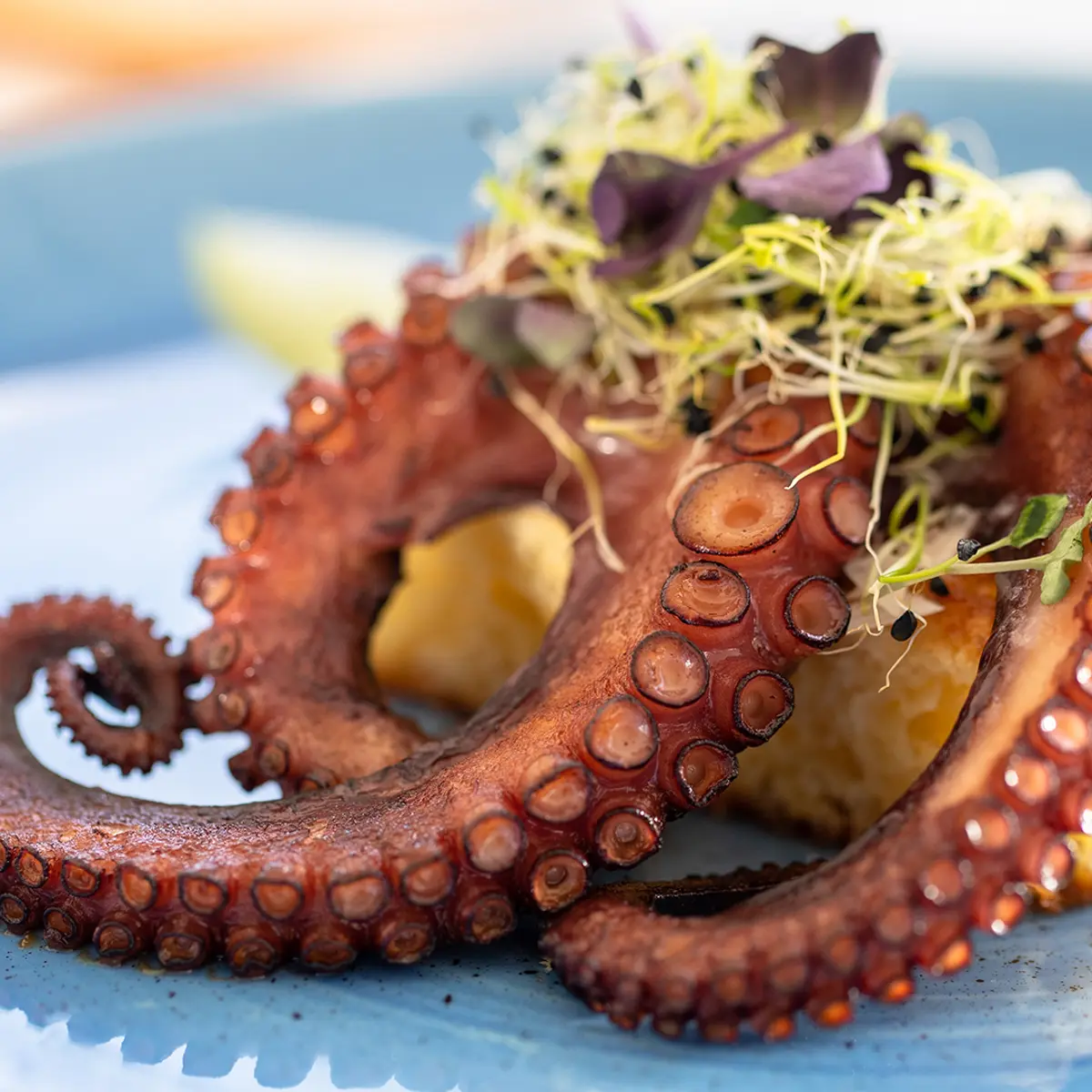 Jumeirah Mallorca, Mallorca, Spain 8