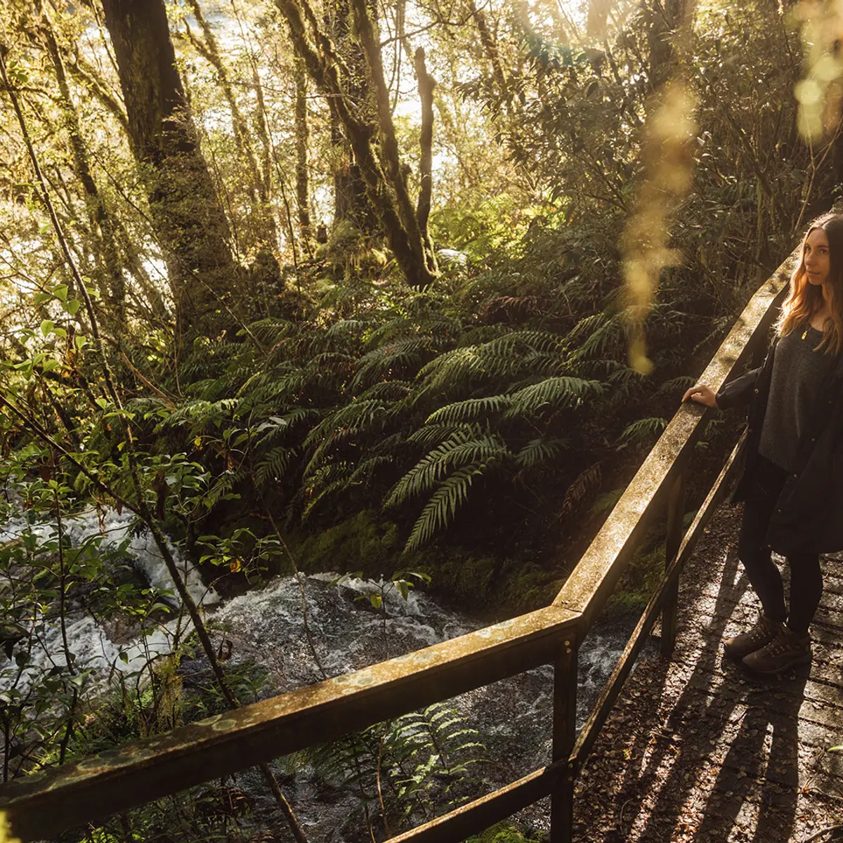 Maruia River Retreat, Nelson, New Zealand 7