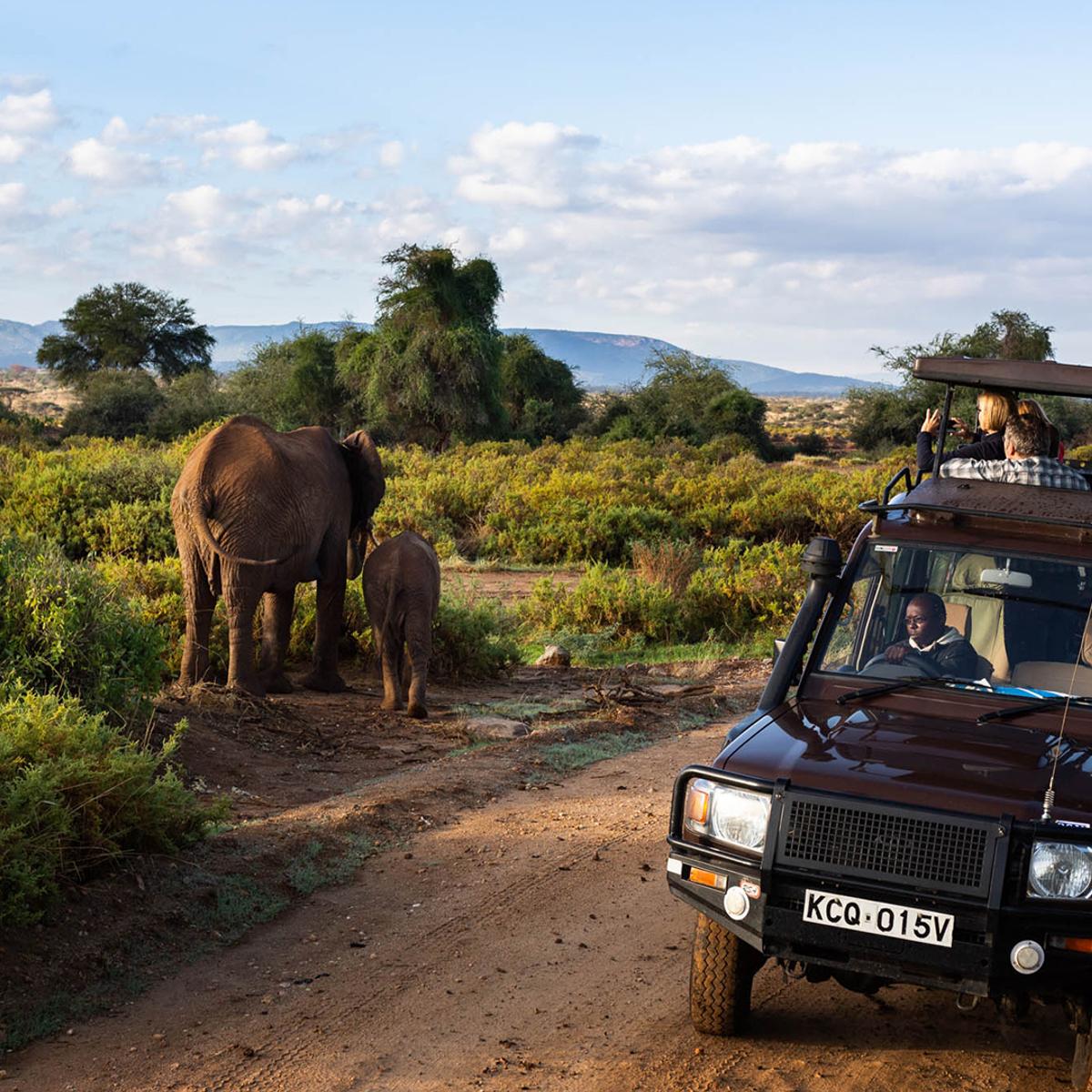 Deluxe 13-Day Kenya & Tanzania Great Migration Safari 2027 with Maasai Mara & Serengeti National Parks  by  5