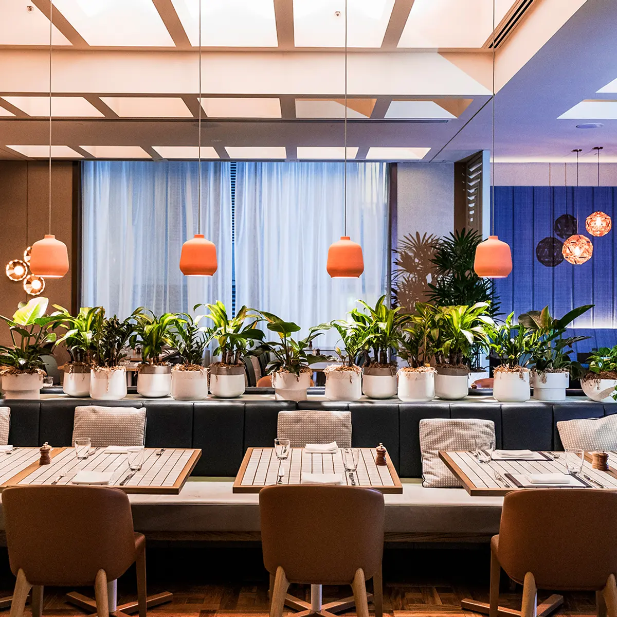 Amora Hotel Jamison Sydney , Sydney, New South Wales 6