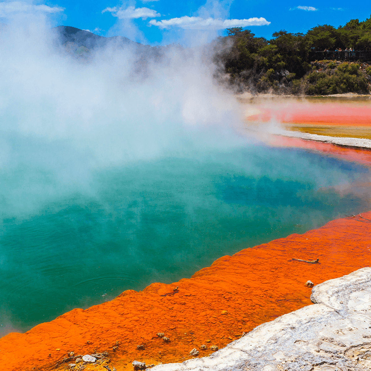 New Zealand 7-Day North Island Highlights with Waitomo Glowworm Caves & Hawke's Bay Wine Tasting by  7