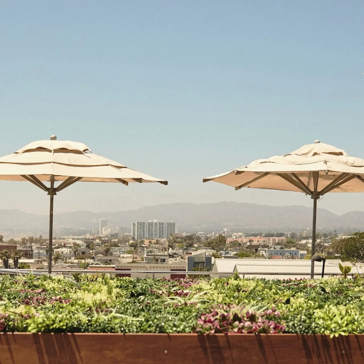 Hotel Erwin Venice Beach, Venice, United States 2