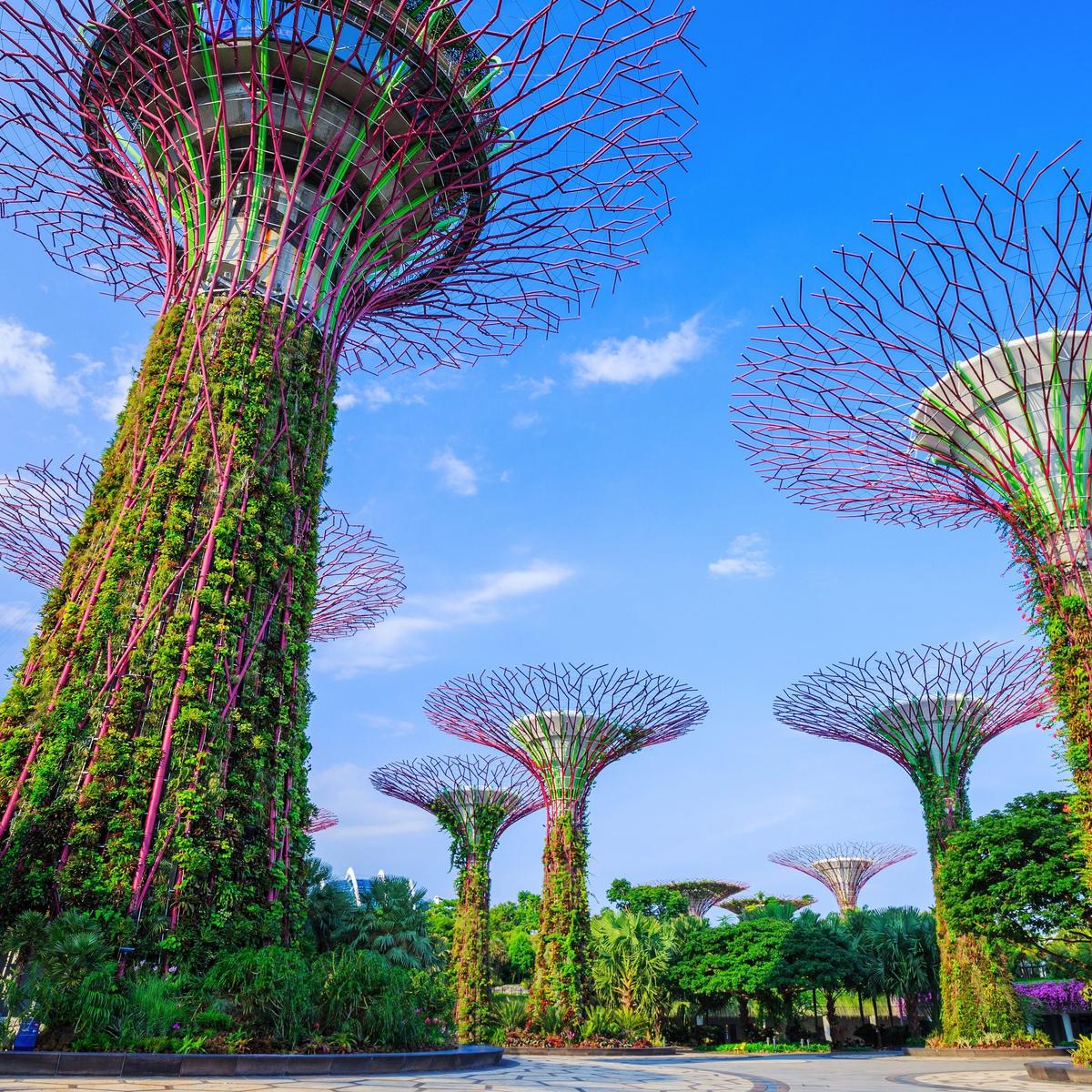 Limited Time Offer: 14-Day Vietnam & Cambodia Discovery + 3-Night COMO Metropolitan Singapore Stay by  5