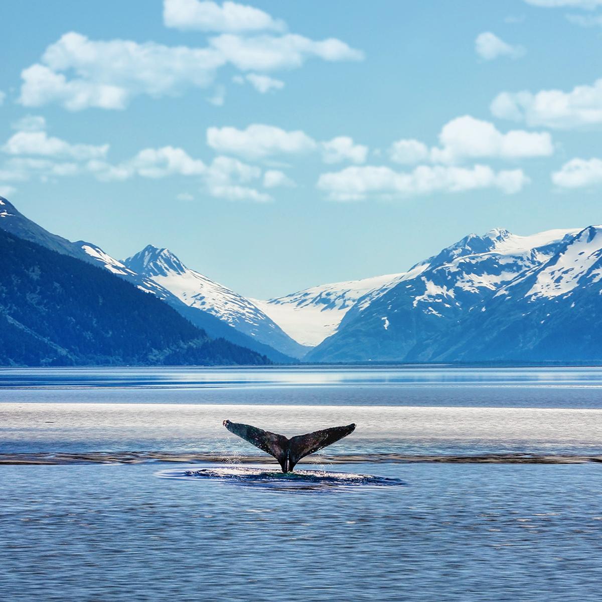 Deluxe 19-Day Canada & Alaska Rail & Sail 2026 with Rocky Mountaineer & Inside Passage Celebrity Cruise by  2