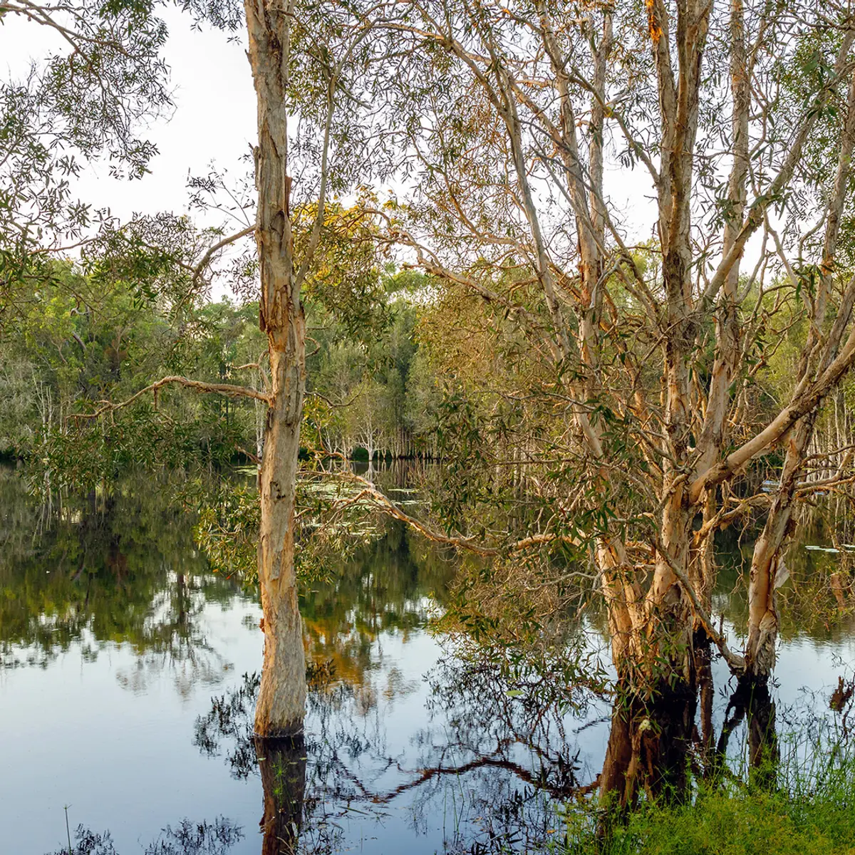 Sanctuary by Sirromet, Mount Cotton, Queensland 6