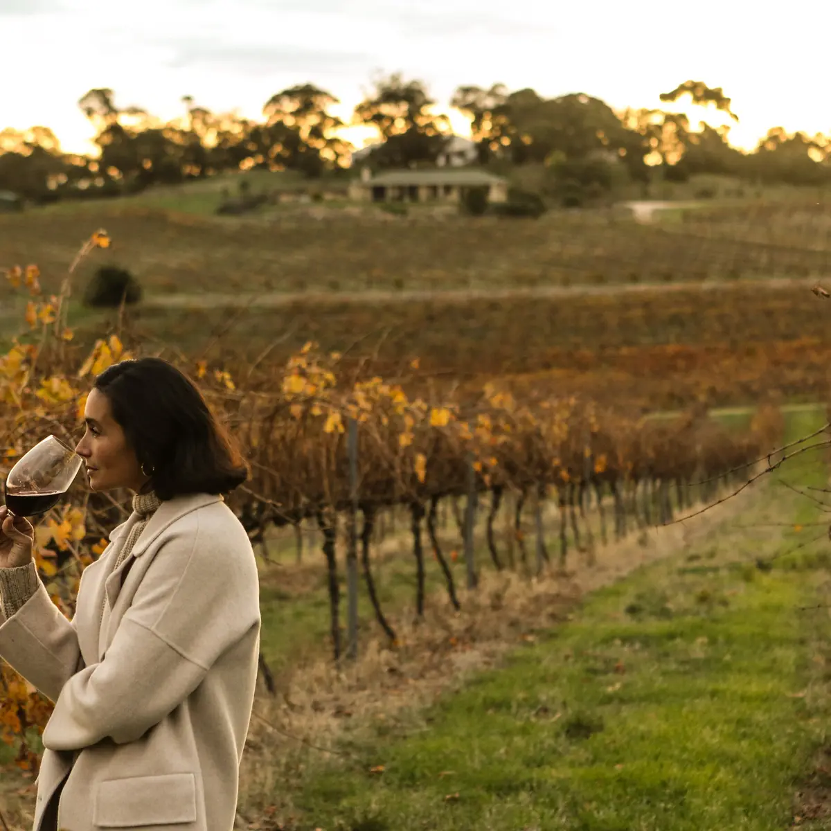 The Louise Barossa Valley, Beckons, Barossa Valley, Südaustralien 3