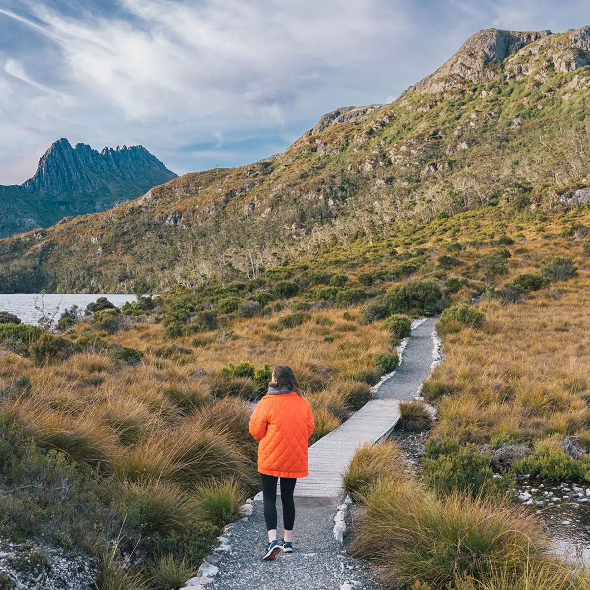 Discovery Resorts – Cradle Mountain, Cradle Mountain, Tasmania 6