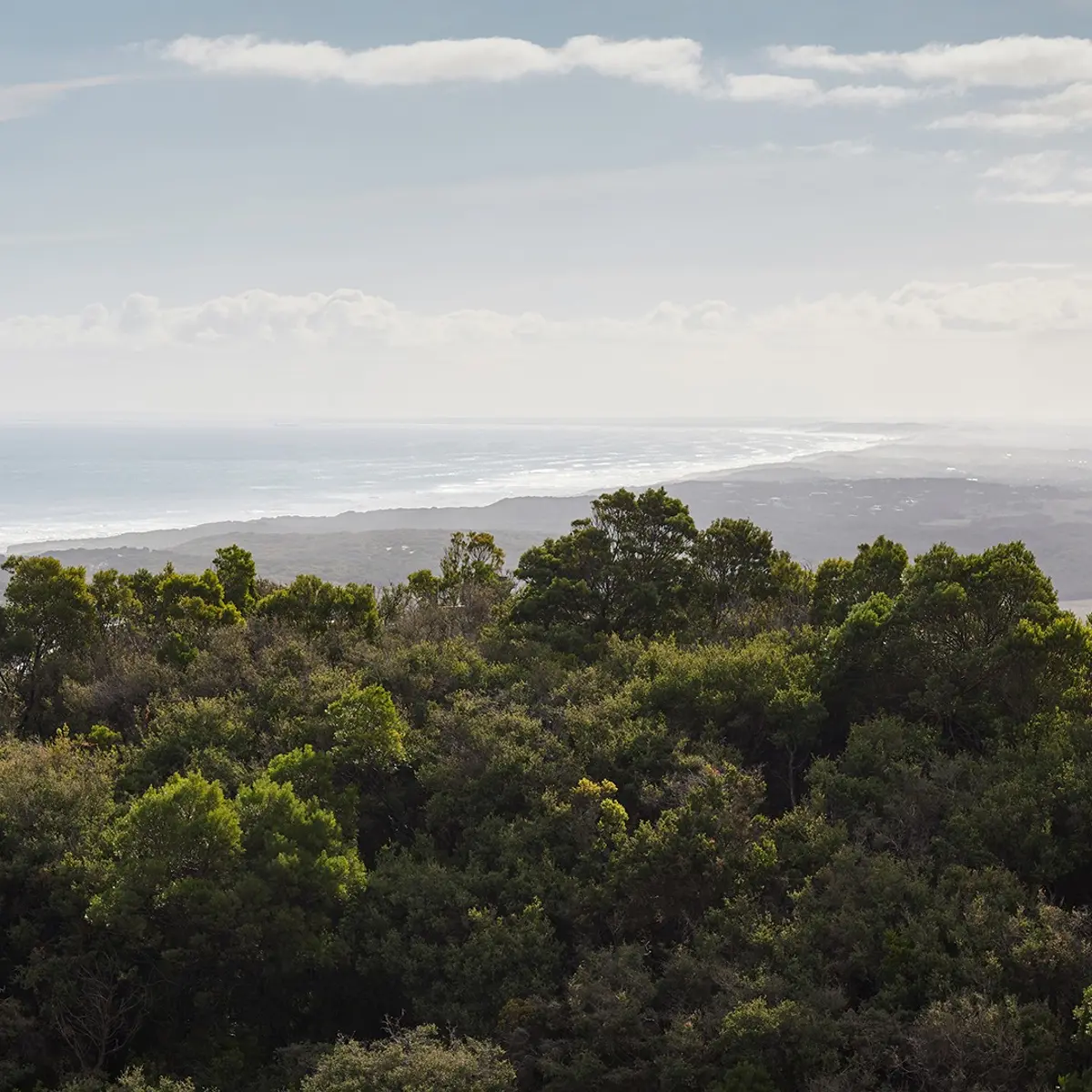 RACV Cape Schanck Resort, Cape Schanck, Victoria 1