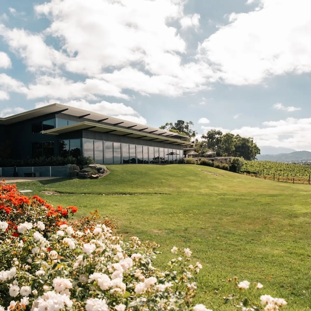 Balgownie Estate Yarra Valley, Yarra Glen, Australia 1