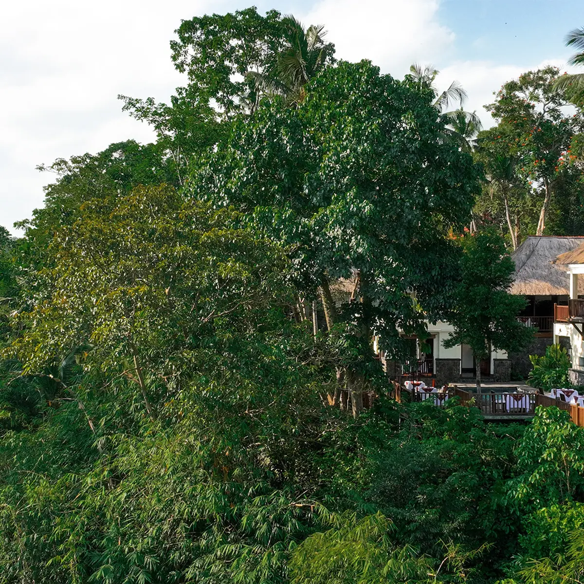 Kayumanis Ubud Private Villa & Spa, Ubud, Bali 2