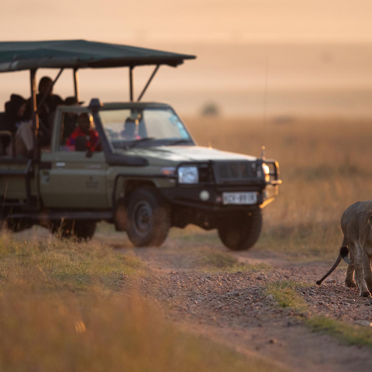 Deluxe 13-Day Kenya & Tanzania Great Migration Safari 2027 with Maasai Mara & Serengeti National Parks  by  5