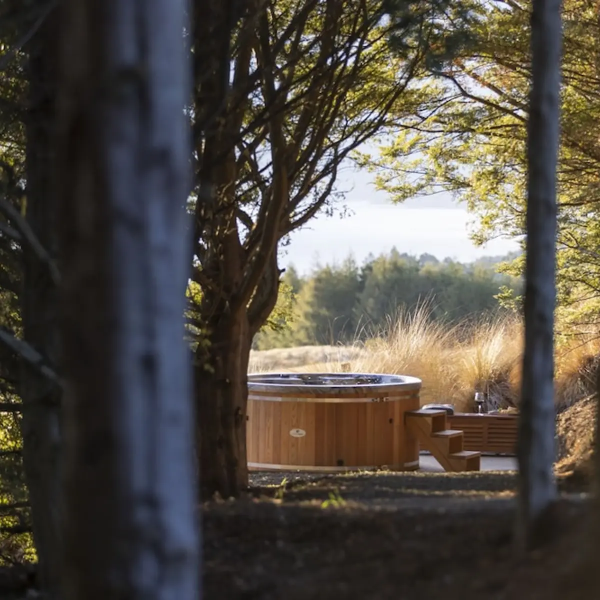 Cabot Lodge, Manapouri, New Zealand 5