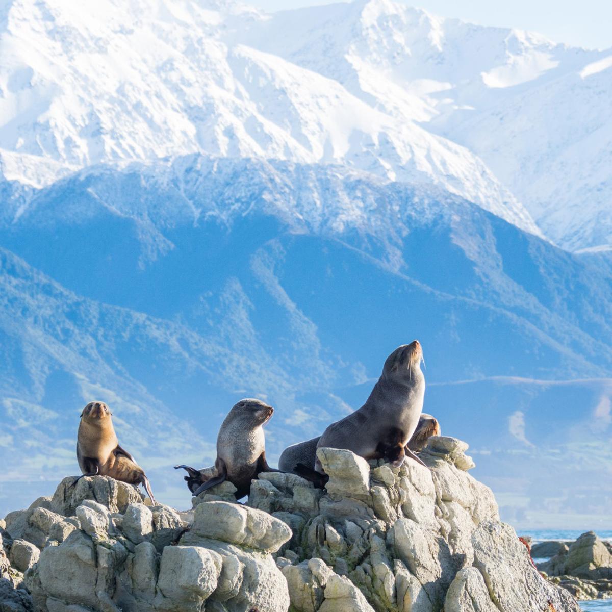 New Zealand 10-Day North to South Highlights with Waitomo Glowworm Caves & Marlborough Wine Tasting by  6