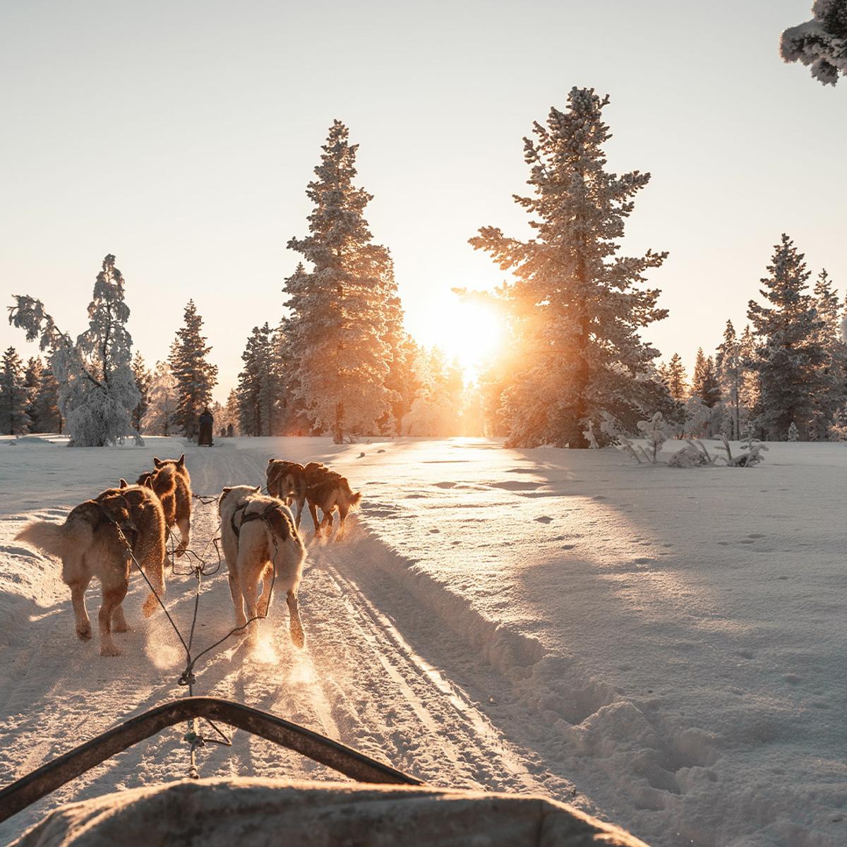 Deluxe 14-Day Finland & Norway Northern Lights Winter Adventure with Havila Voyages Coastal Fjord Cruise by  4