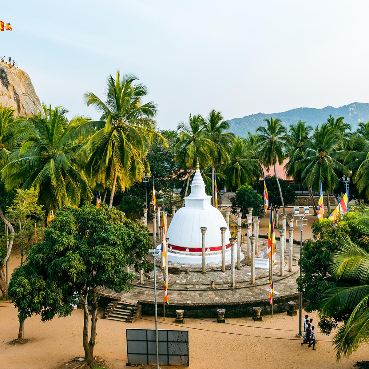 Deluxe 18-Day Ultimate Sri Lanka North to South Discovery with Udawalawe, Kandy & Five-Star Galle Stay by  6