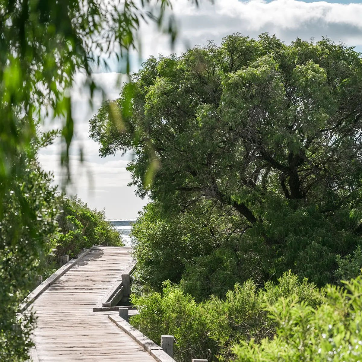 Pullman Bunker Bay Resort, Margaret River Region, Naturaliste, Western Australia 8