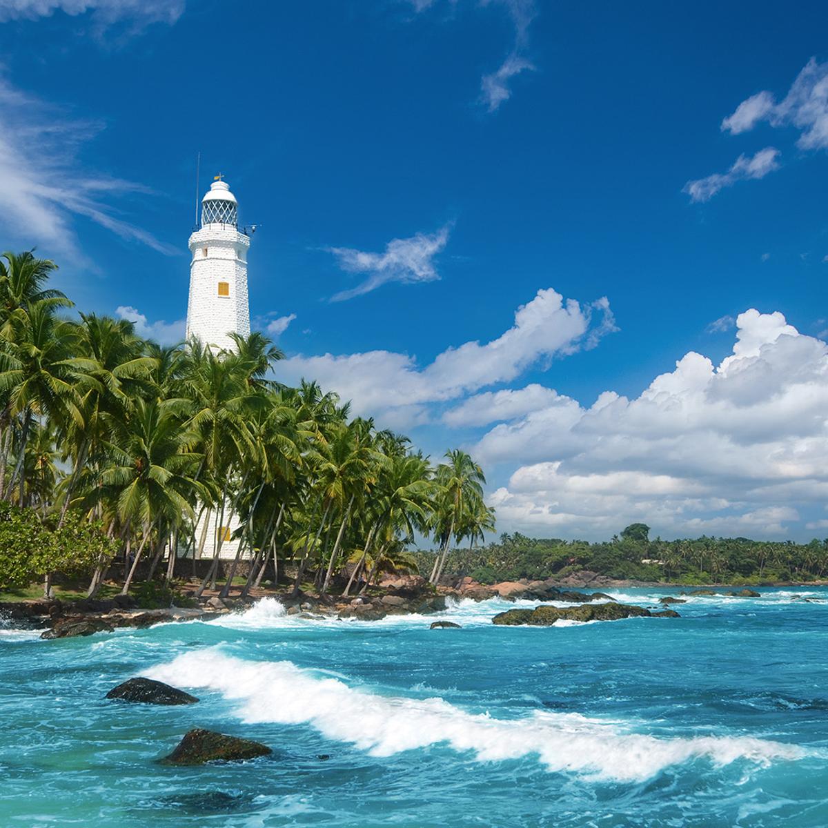 Deluxe 12-Day Best of Sri Lanka 2027 with Dambulla, Kandy & Five-Star Galle Stay by  5