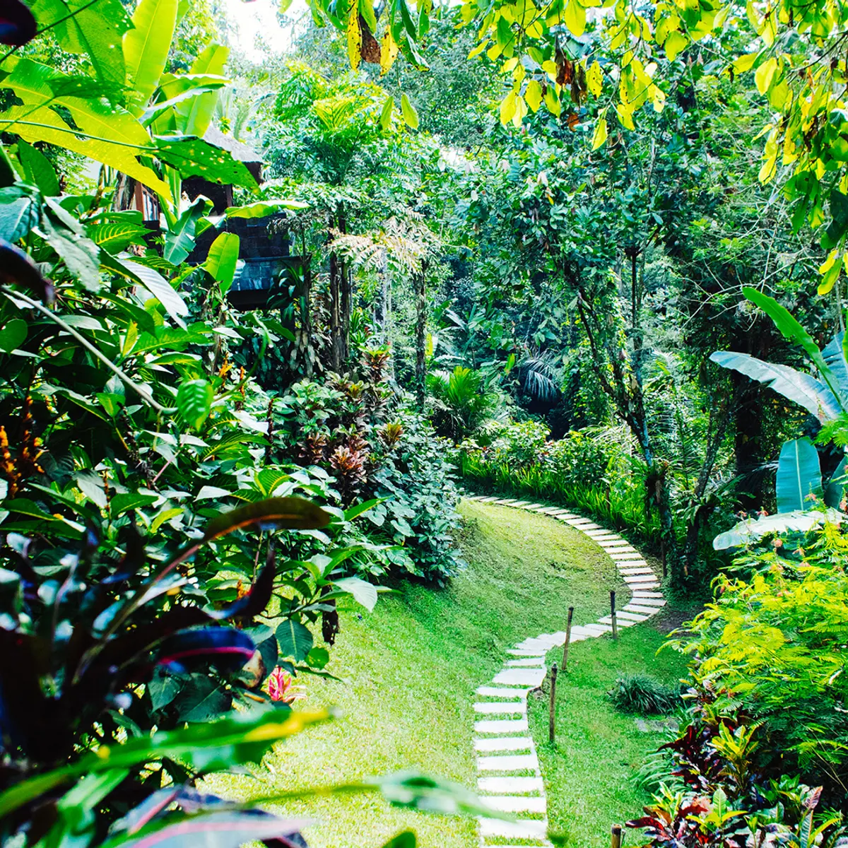 Hanging Gardens of Bali, Ubud, Bali 6