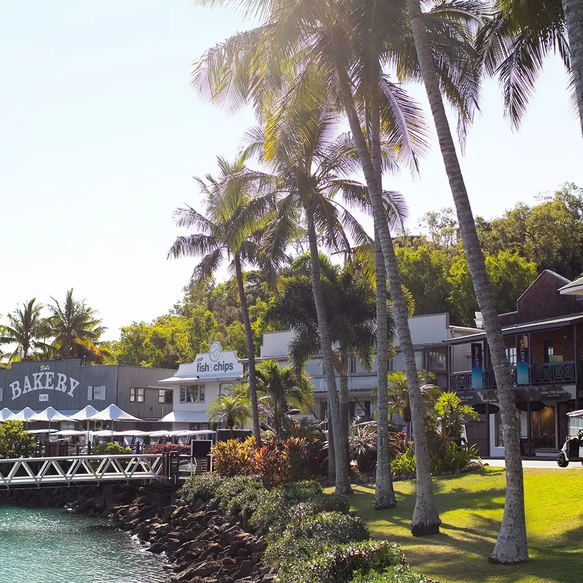 Palm Bungalows, Hamilton Island, Queensland 7