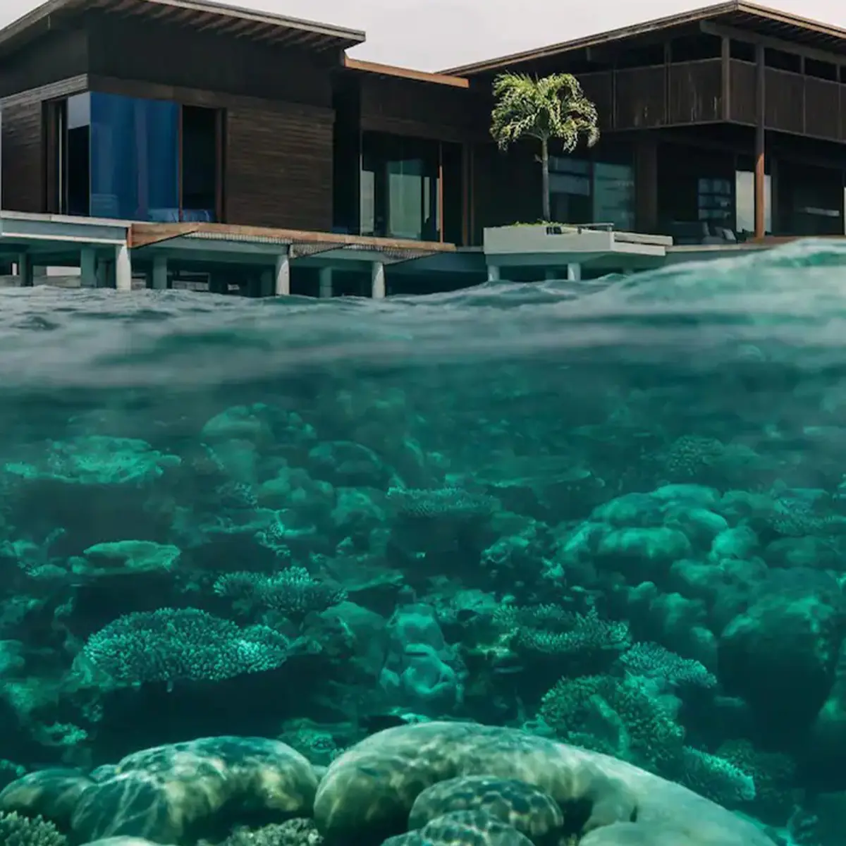 Park Hyatt Maldives, Hadahaa, Hadahaa, Maldives 6