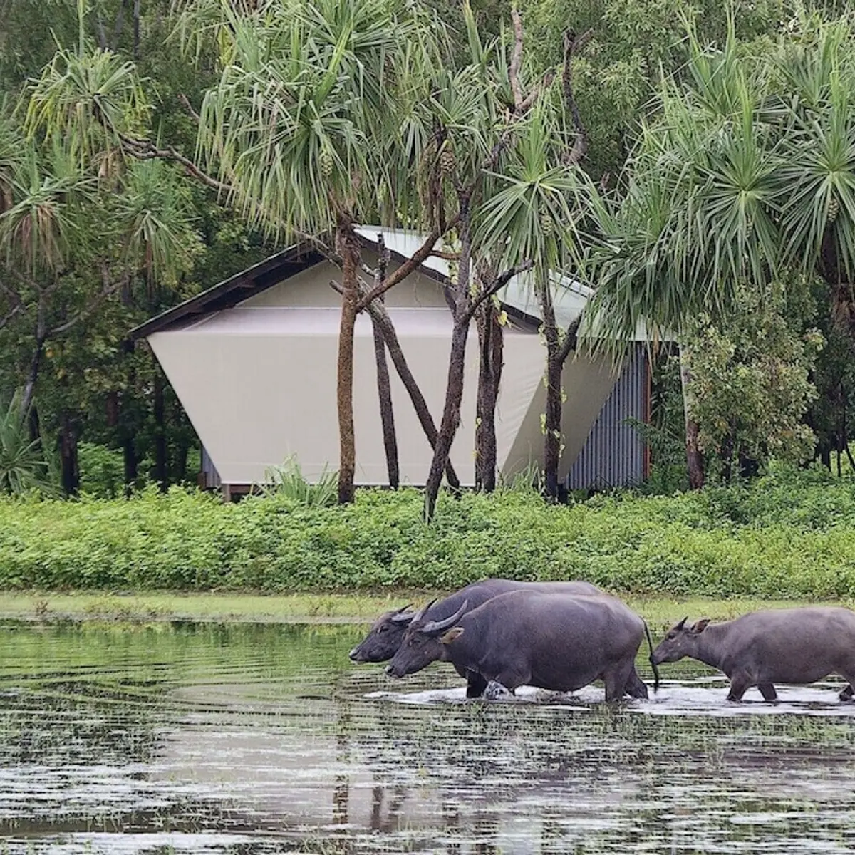 Bamurru Plains, Point Stuart, Australia 3